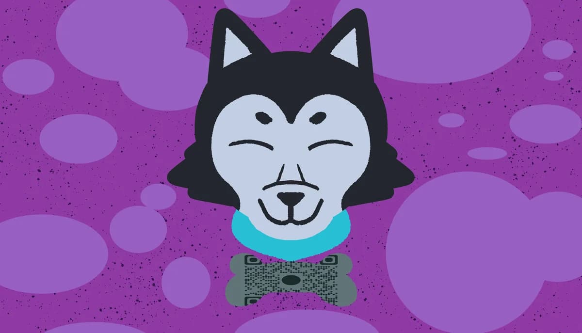 QR koder til kæledyrs ID-mærker til genforening af bortkomne kæledyr