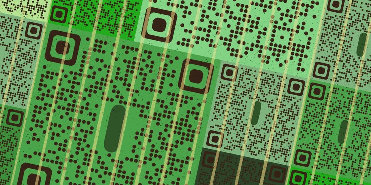 qr code multiple fields
