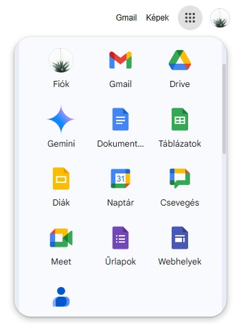 Google Forms Icon